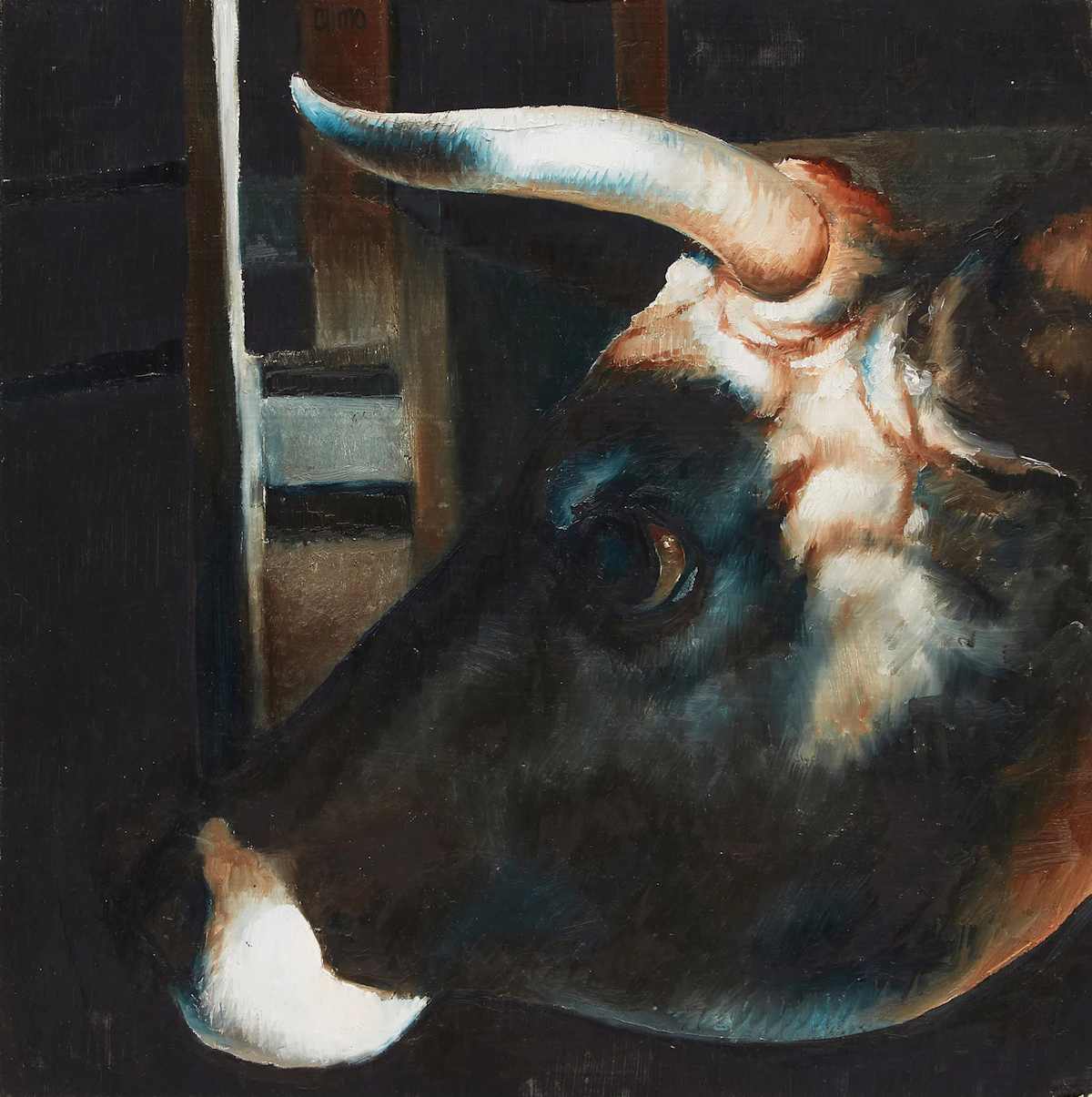 Lindee Climo, Portrait of a Steer, oil on board