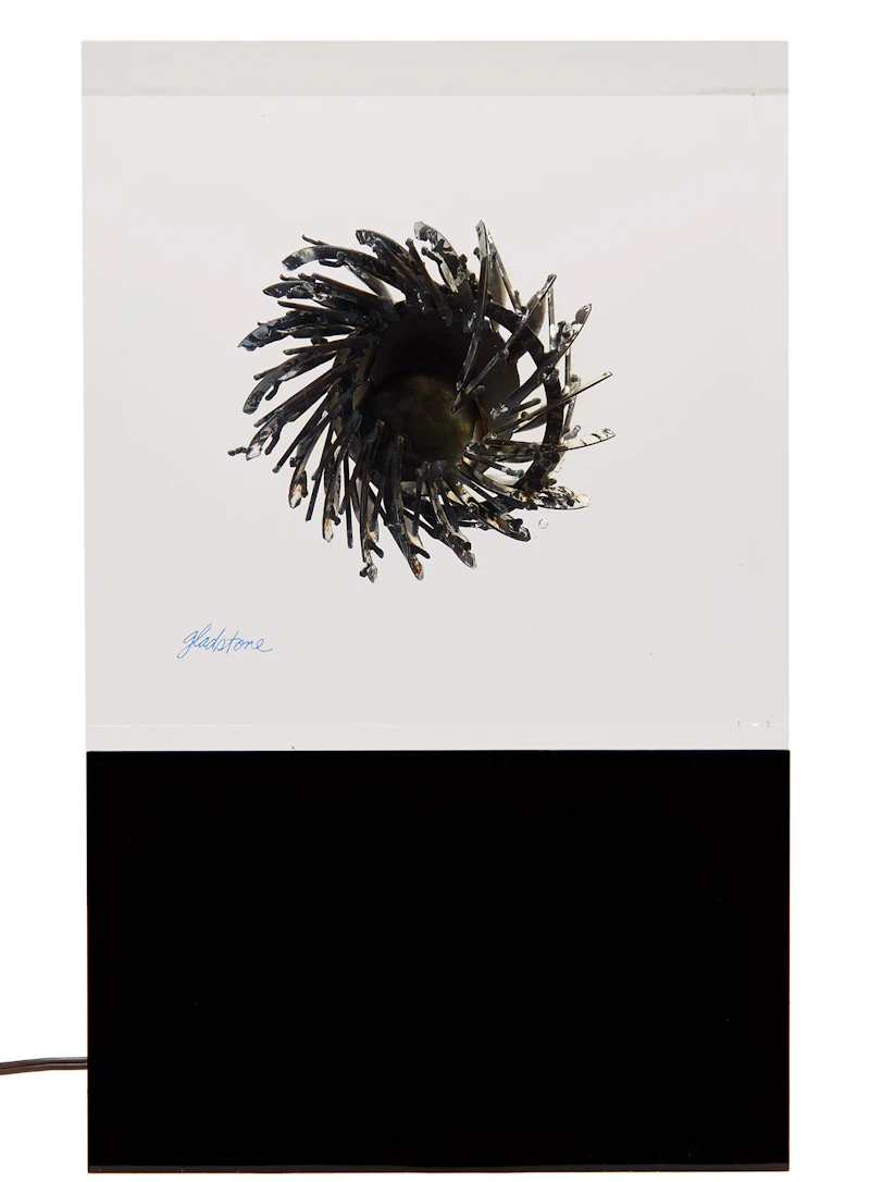 Gerald Gladstone, Optical Orbital Series #8, 1975