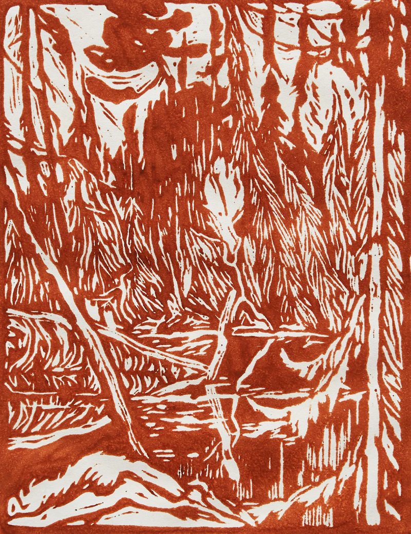 James Edward Hervey MacDonald, Beaver Pond, Algoma