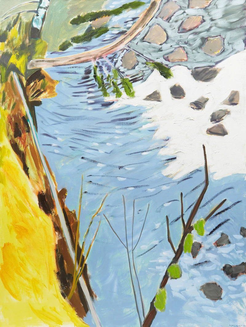 Creek with New Ice by Barbara Ballachey