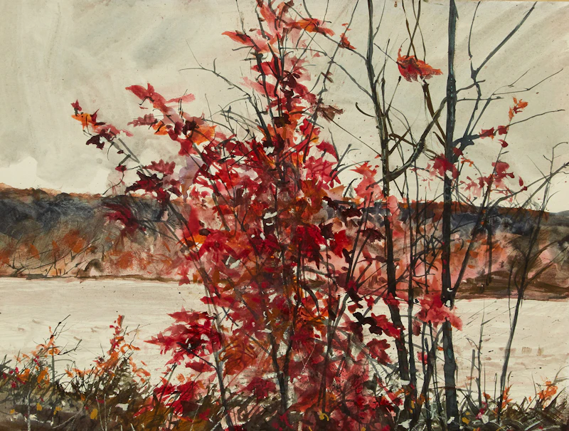 Bright Red, Red Maple on the St. John River by Thomas de Vany Forrestall