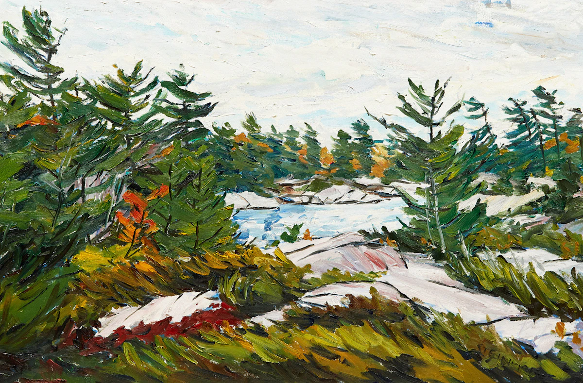 Bruce Steinhoff, Franklin Island, Georgian Bay, oil on canvas, 1989