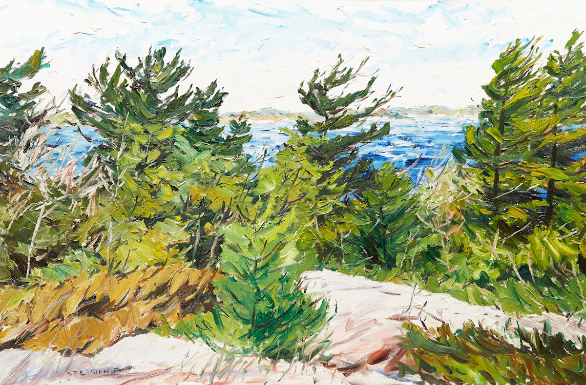Bruce Steinhoff, Three Mile Point, Georgian Bay, oil on canvas, 1988