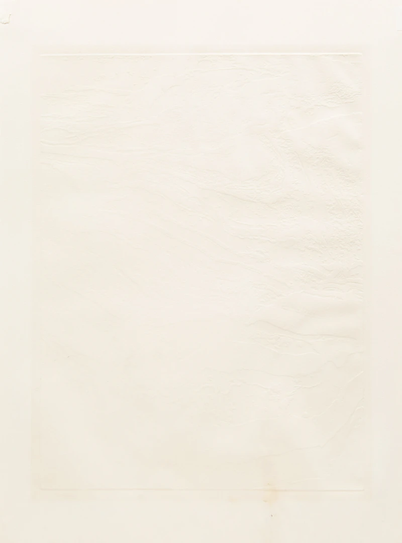 Edward John Bartram, Swept Rock- Precambrian Shield Series, colour etching - view 3