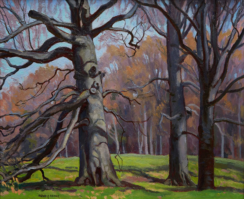 Beeches, Spring by Frederick Stanley Haines