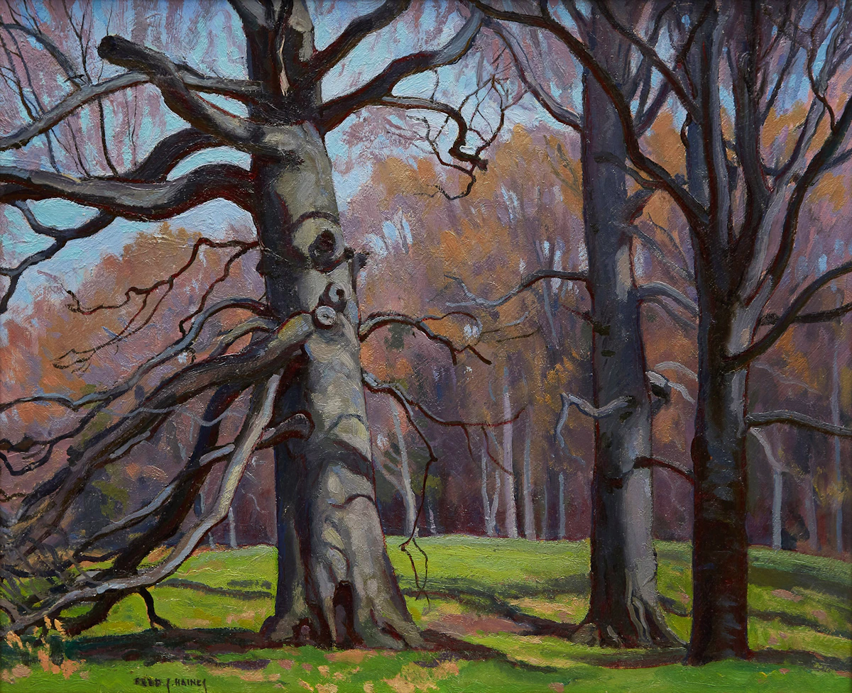 Frederick Stanley Haines, Beeches, Spring, oil on board