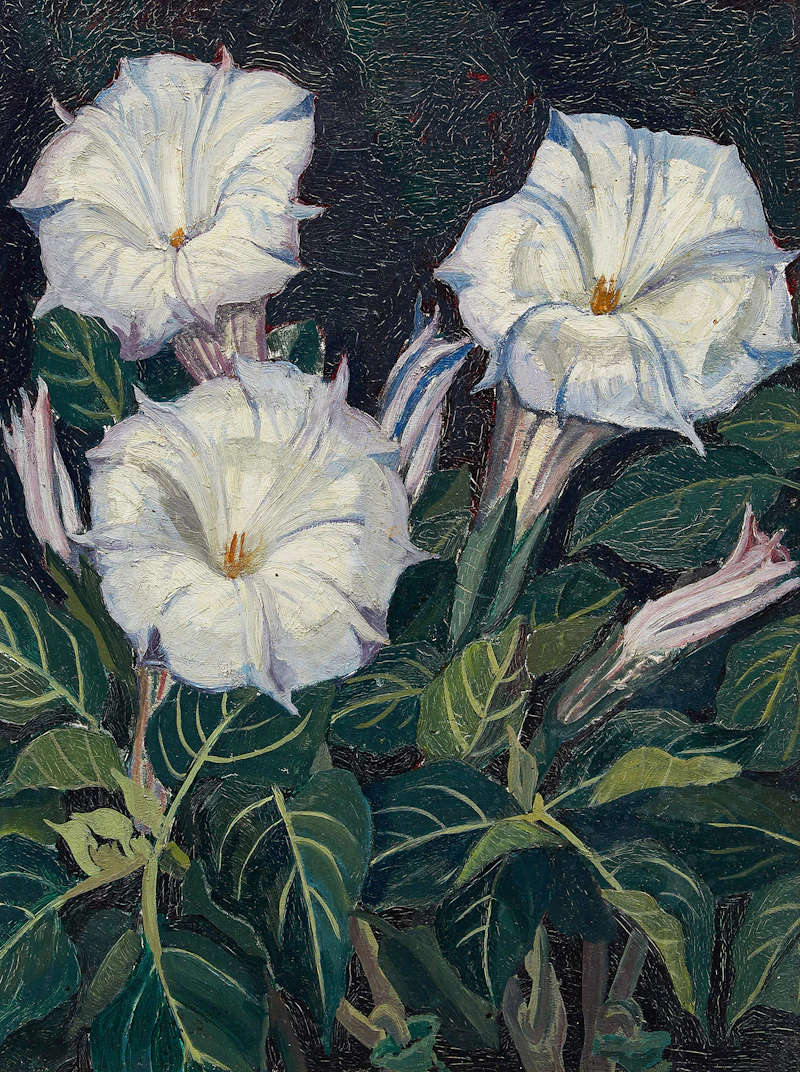 Daturam by Yvonne McKague Housser