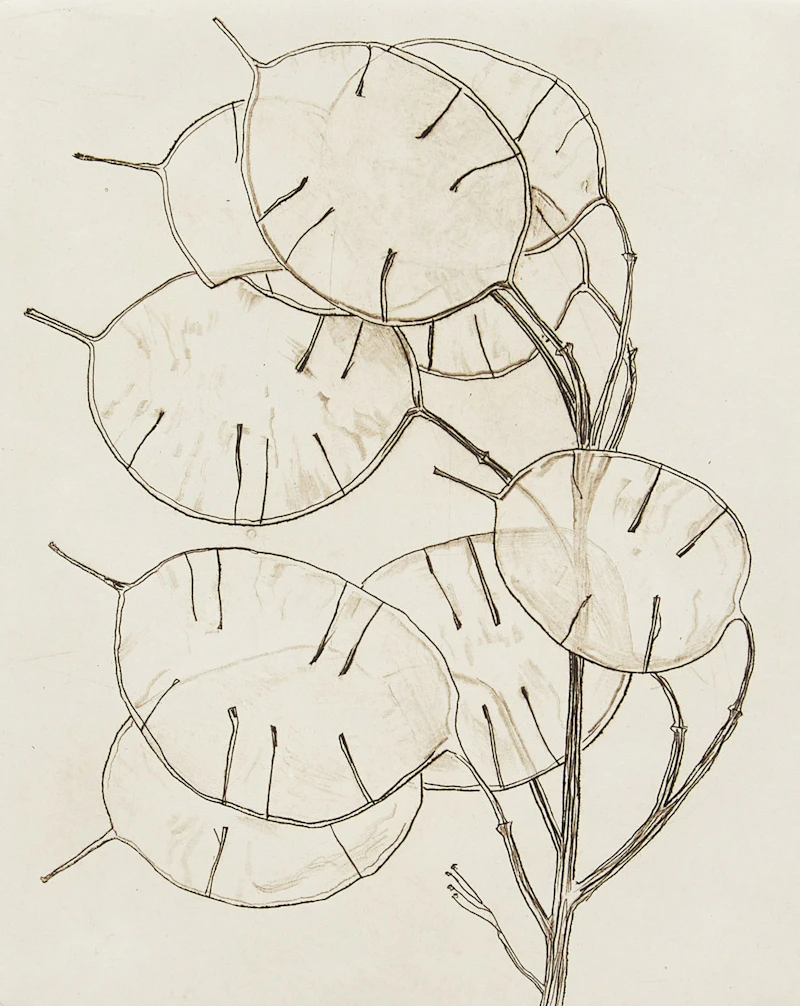 Honesty by Bruno Joseph Bobak