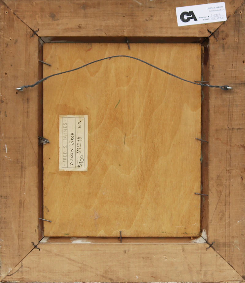 Frederick Stanley Haines, Yellow Birch, oil on board - view 3