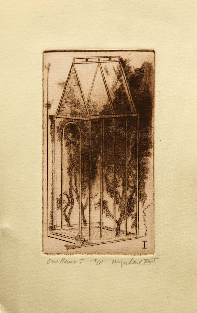Tony Urquhart, Our House I, colour etching - view 2