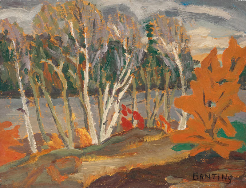 Frederick Grant Banting, Birches, French River, 1930
