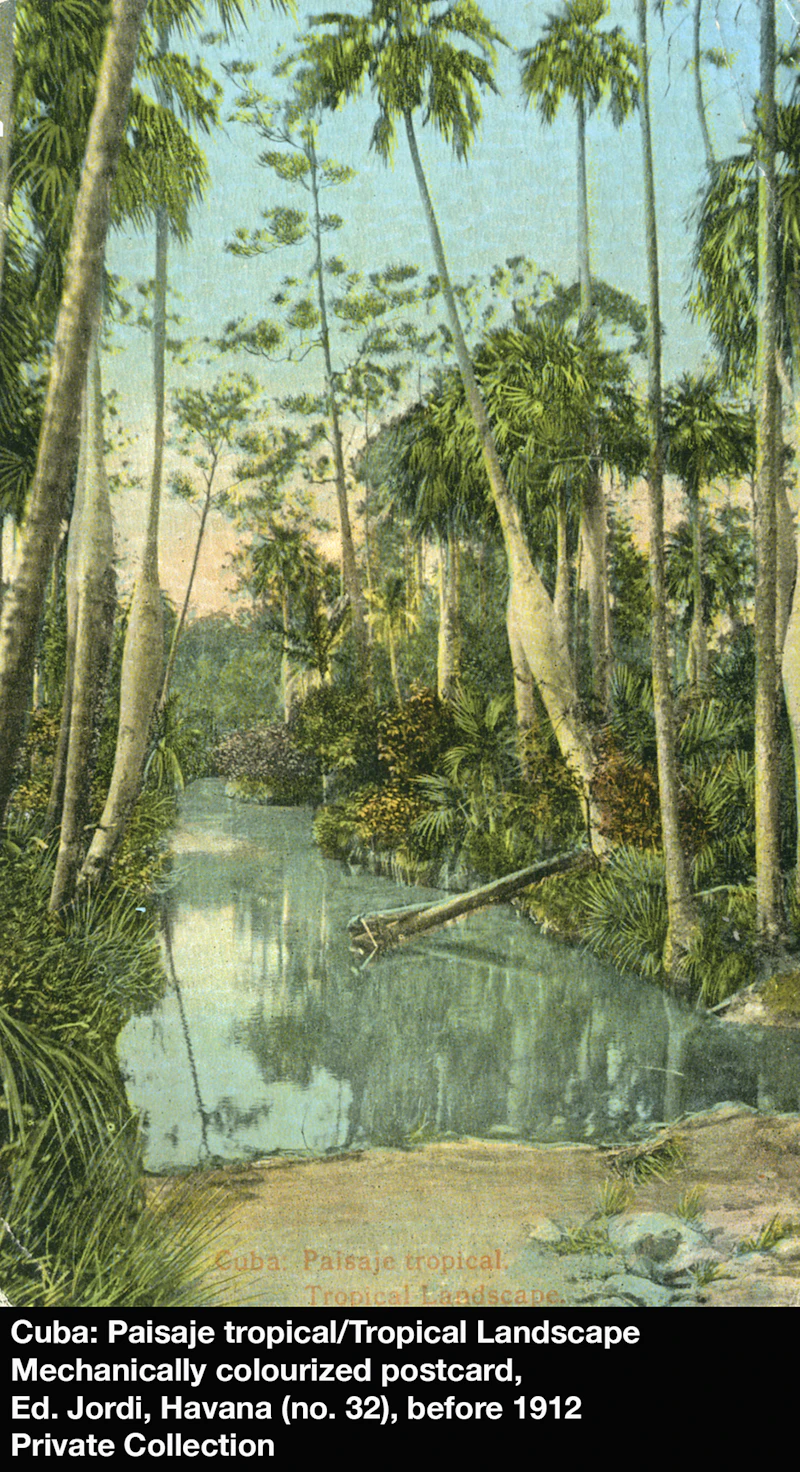 James Wilson Morrice, Study for “The Pond, West Indies” (circa 1916-1919), watercolour, circa 1916/19 - view 6