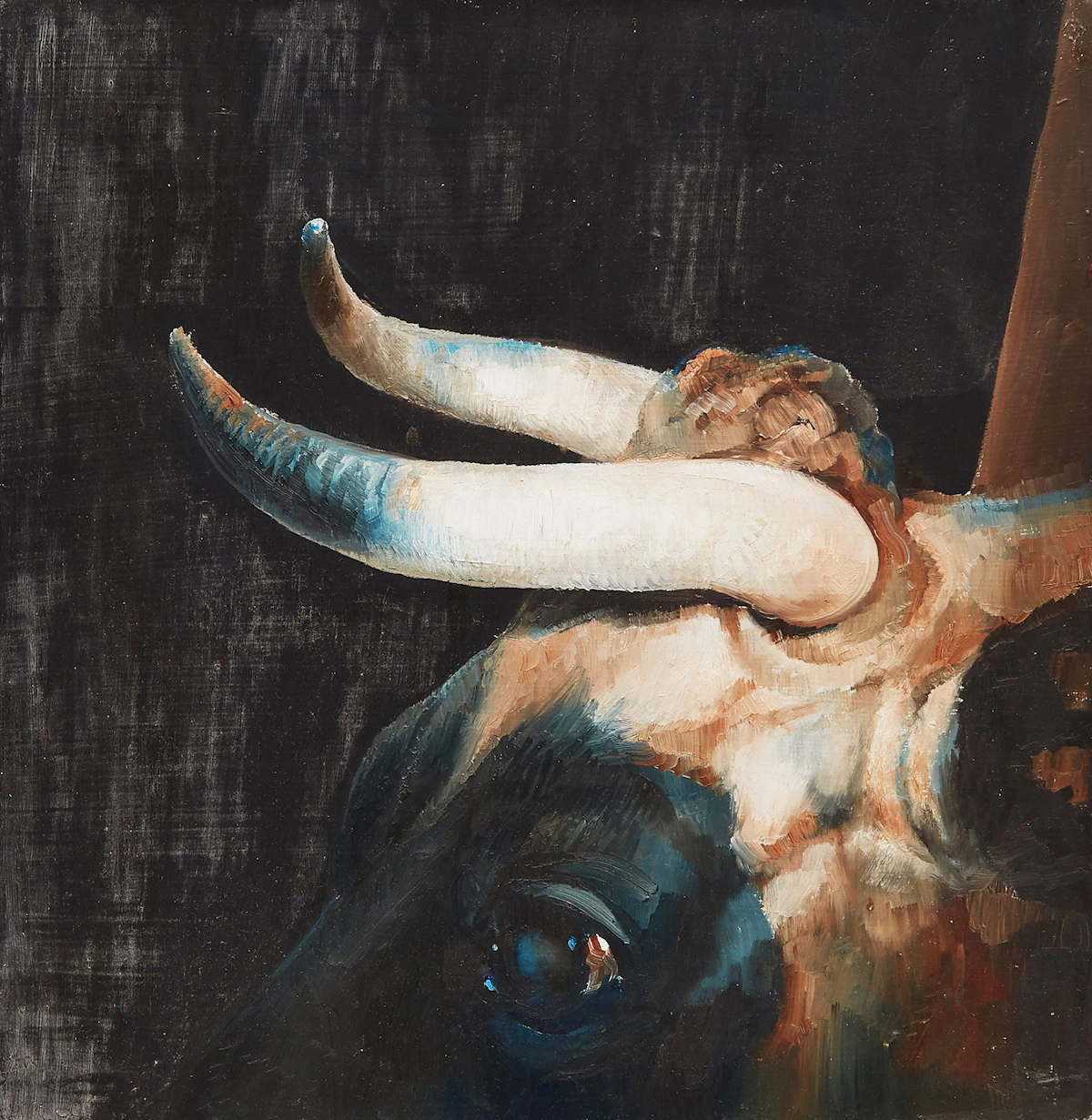 Lindee Climo, Steer, oil on board