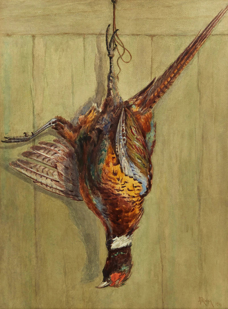 Joseph Thomas Rolph, Hanging Pheasant