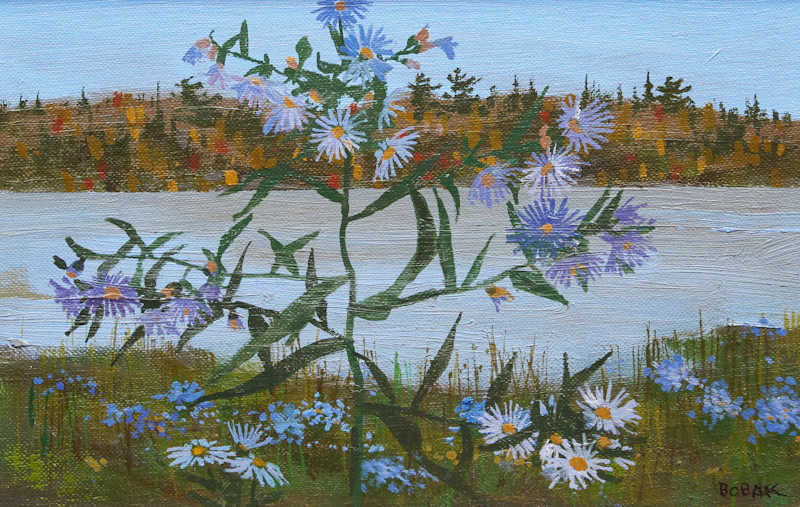 Fall Asters  by Bruno Joseph Bobak