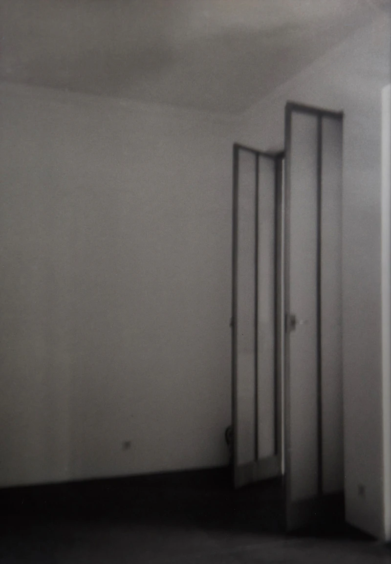 Angela Grauerholz, Sententia I-LXII, no. 29, silverprint, 1998 - view 2