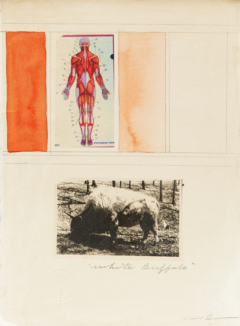 White Buffalo by Carl Beam
