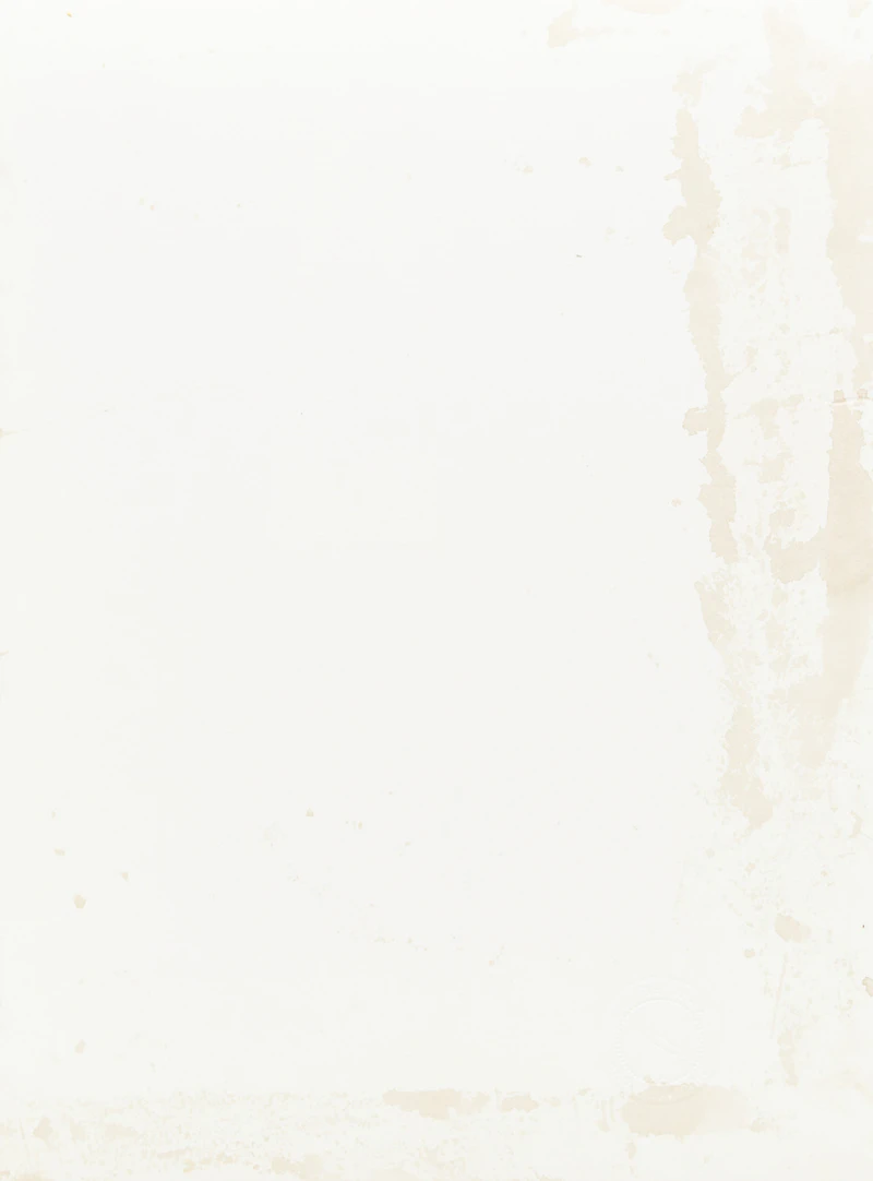 Carl Beam, White Buffalo, mixed media on paper - view 2