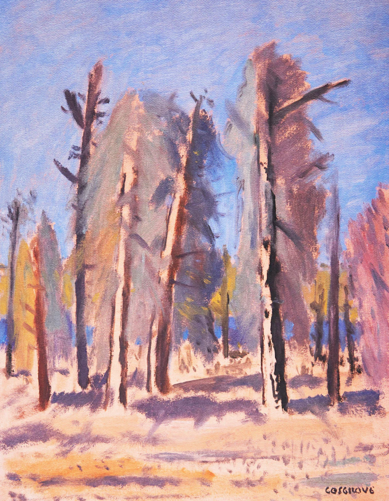Stanley Morel Cosgrove, Collection of Five Works (Four Landscapes and a Still-Life), five colour lithographs, 1993, 1994 - view 4