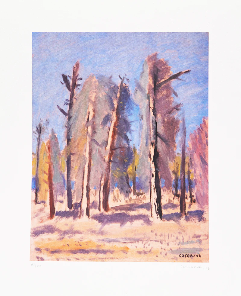 Stanley Morel Cosgrove, Collection of Five Works (Four Landscapes and a Still-Life), five colour lithographs, 1993, 1994 - view 5