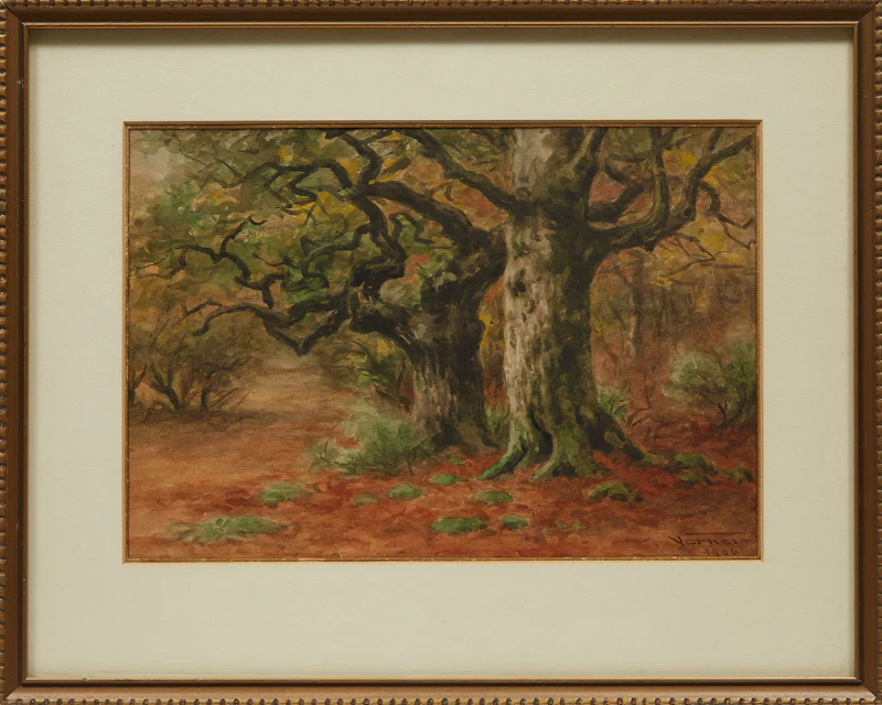 Frederick Arthur Verner, Burnham Beeches , watercolour, 1906 - view 1