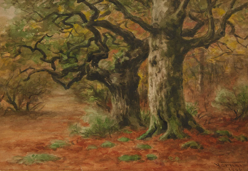 Frederick Arthur Verner, Burnham Beeches , watercolour, 1906 - view 2
