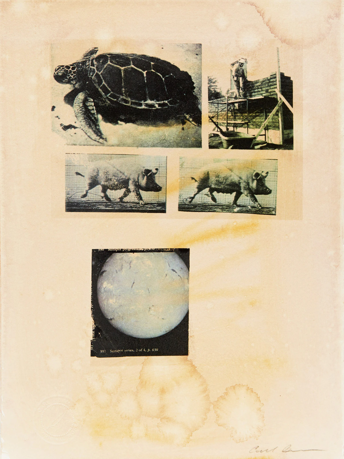 Carl Beam, Sunspot, mixed media on paper