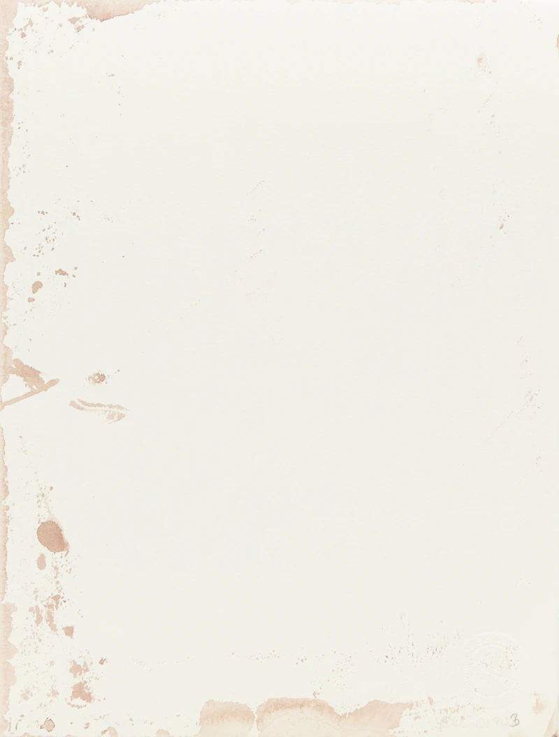 Carl Beam, Indian Residential Schools, mixed media on paper - view 2