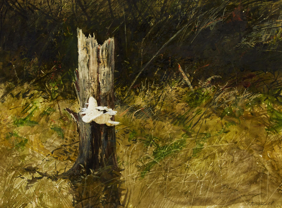Thomas de Vany Forrestall, Fungus, Pure White , watercolour on card