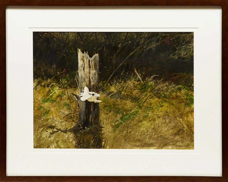 Thomas de Vany Forrestall, Fungus, Pure White , watercolour on card - view 2