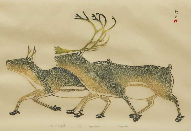 Tuktu of Tasikjuk by Kananginak Pootoogook