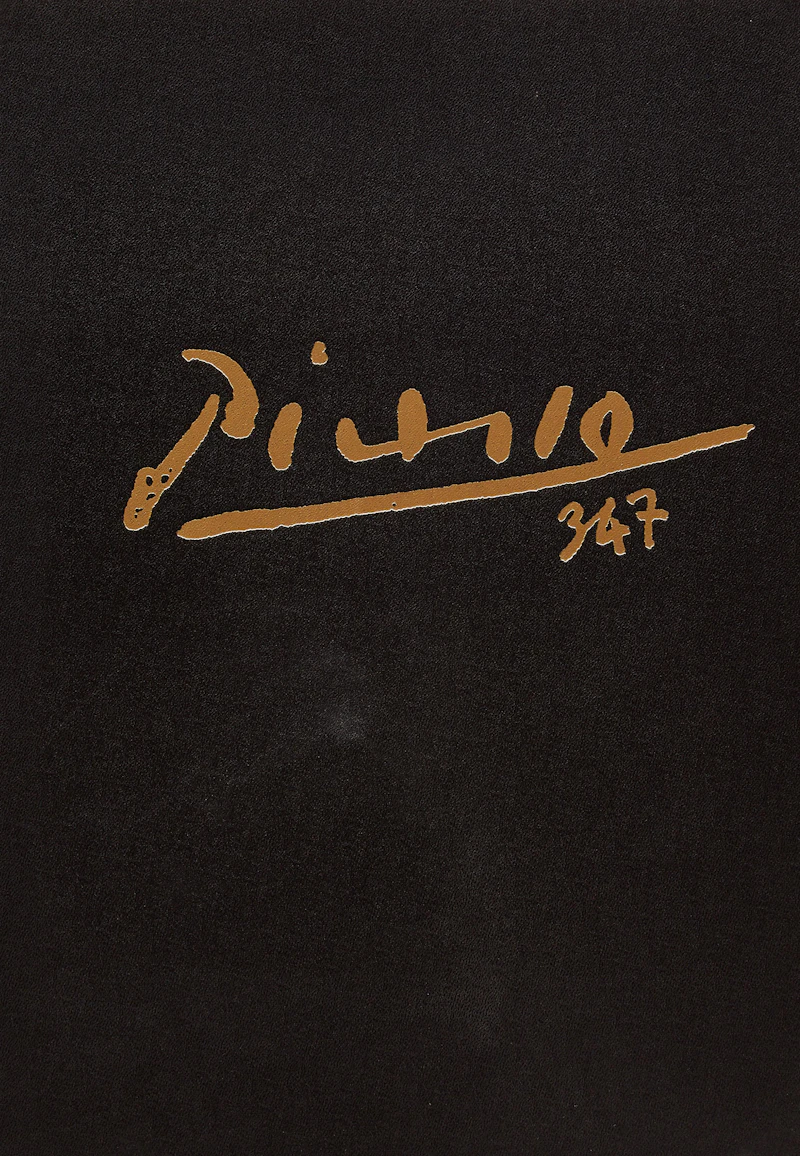 Picasso 347 by Books and Reference