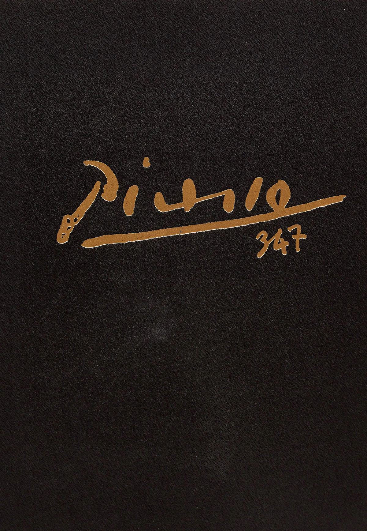 Books and Reference, Picasso 347, two oblong folios