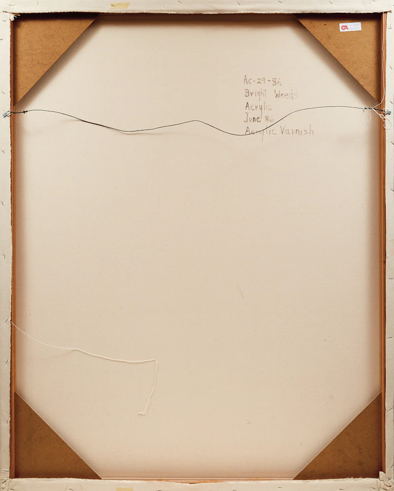 Dorothy Elsie Knowles, Bright Weeds, acrylic on canvas, 1986 - view 3