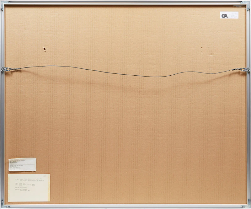 Randy Bradley, Spent Plate Structure, cibachrome, 1984 - view 3