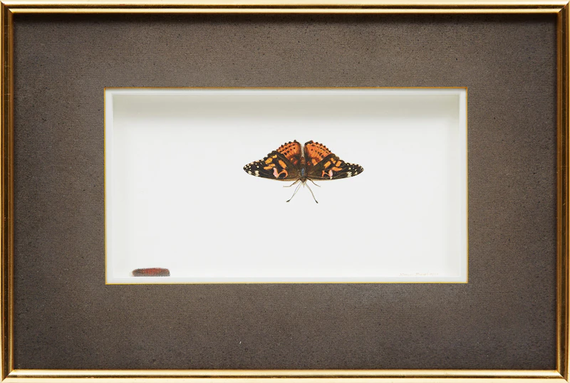 Michael French, Painted Lady, acrylic on paper, 1978 - view 2