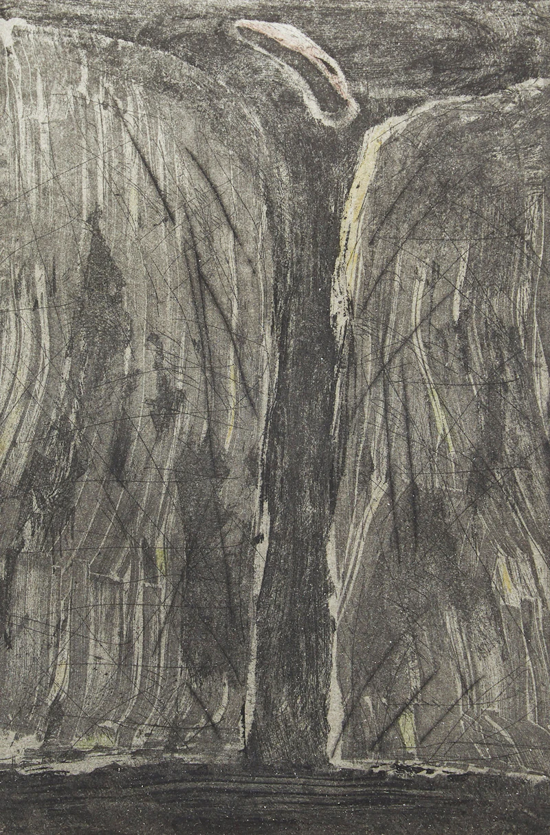 Arnold Shives, Taiya River IV, etching