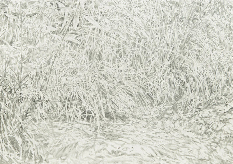 Torrential Study #5 by Graham Fowler