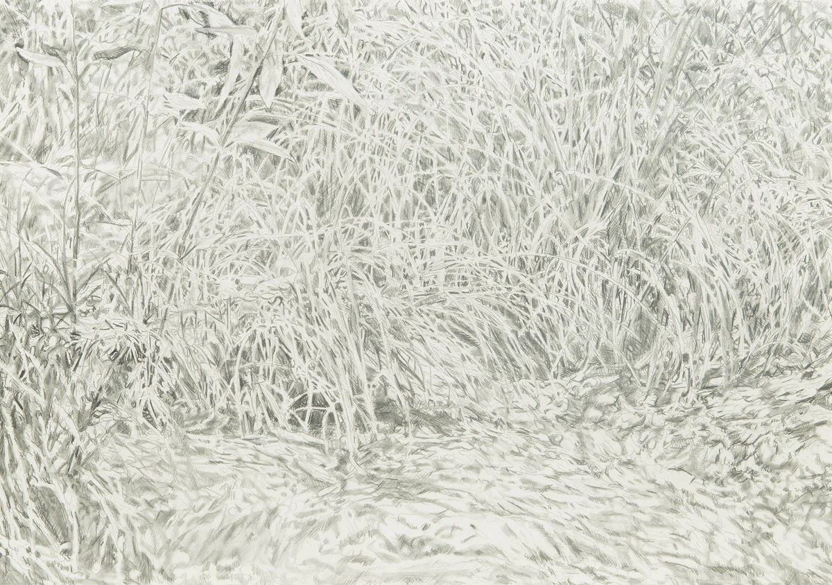 Graham Fowler, Torrential Study #5, graphite, 1984