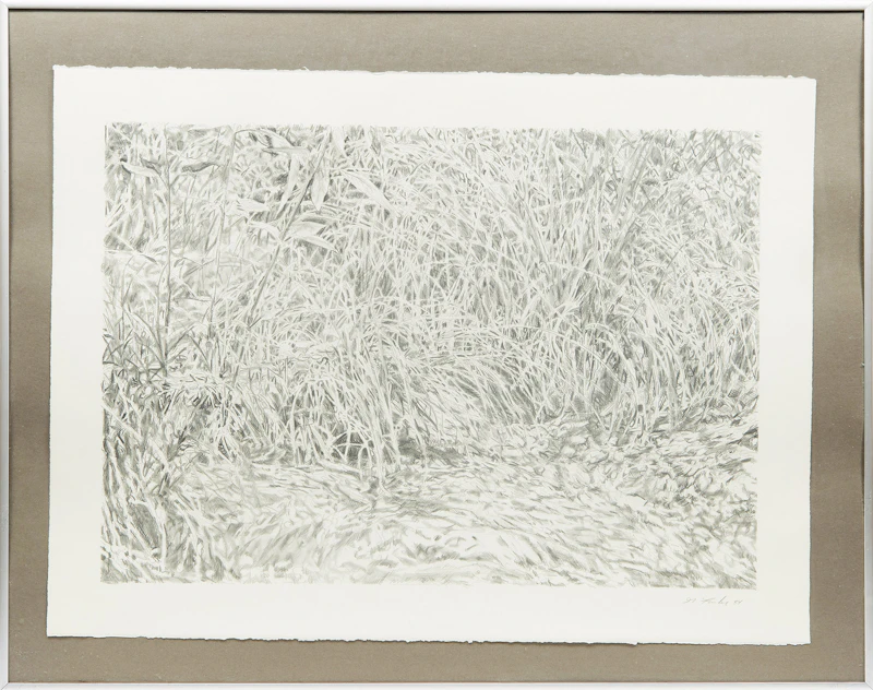 Graham Fowler, Torrential Study #5, graphite, 1984 - view 2