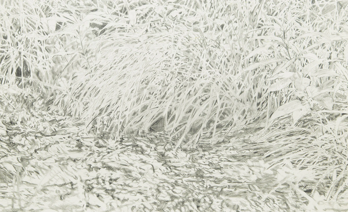 Graham Fowler, Torrential Study #4, graphite, 1984