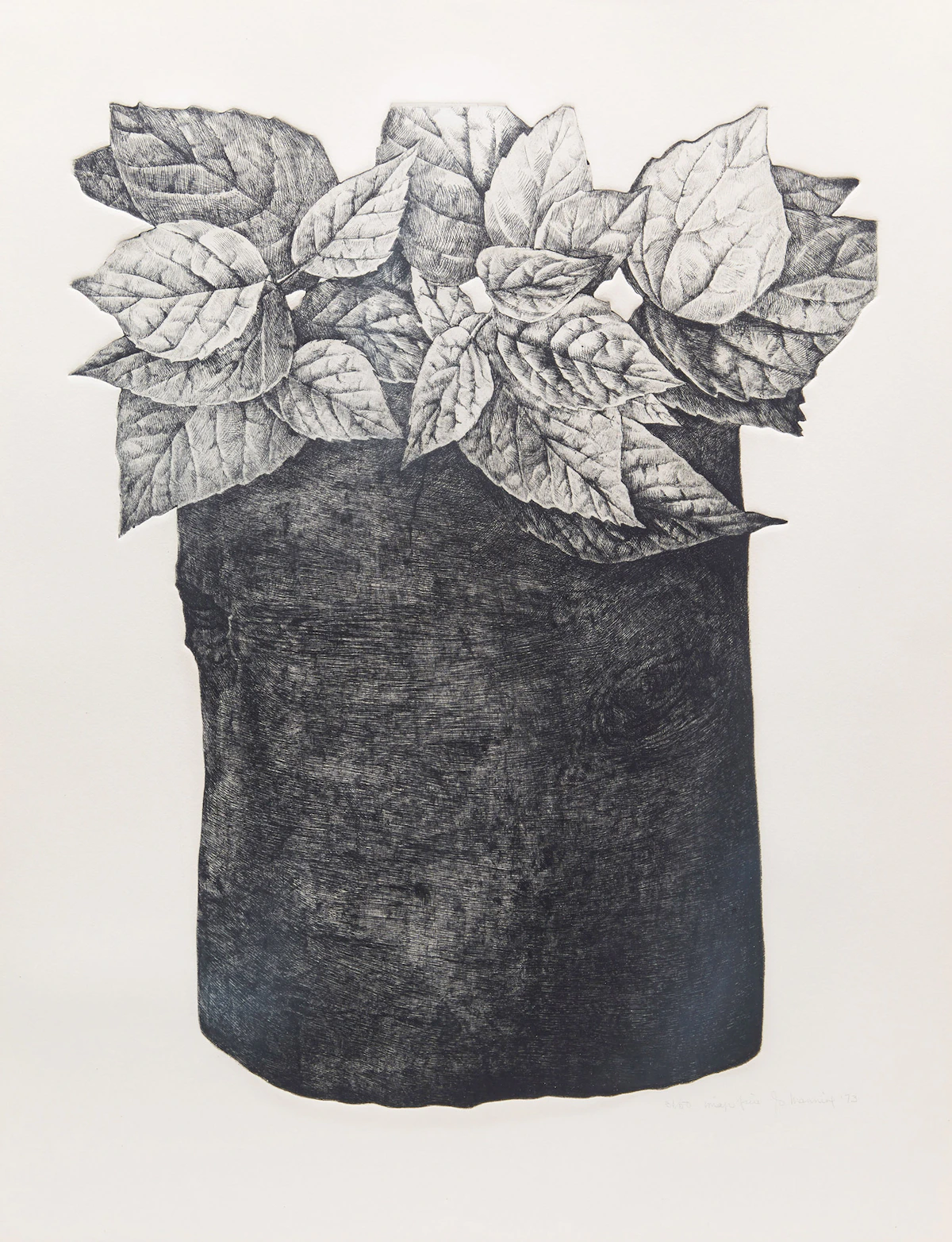 Jo Manning, Foliage Study, etching, 1973
