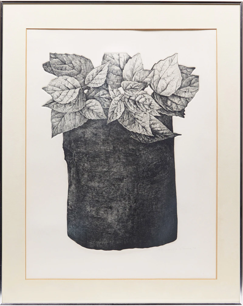 Jo Manning, Foliage Study, etching, 1973 - view 2