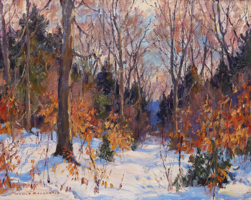 Forest in Winter  by Manly Edward MacDonald