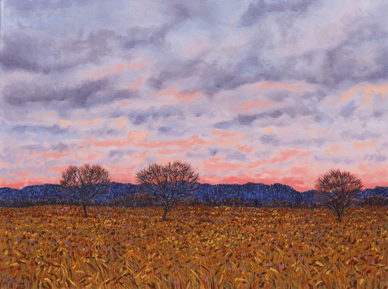 Guelph Apple Trees at Sunset by Philip Sybal