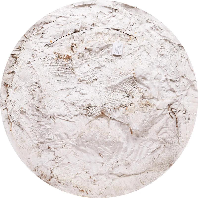 Florence Wyle, Sea Gulls, Relief (plaster) - view 2