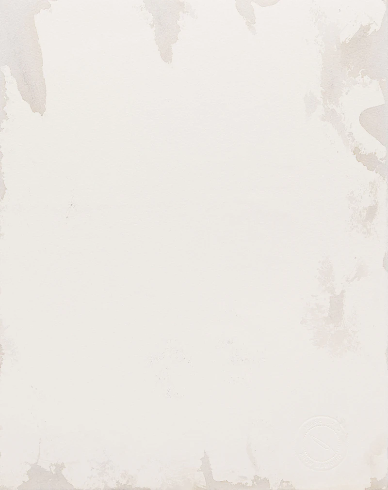 Carl Beam, Untitled (Kalispel), mixed media on paper - view 2