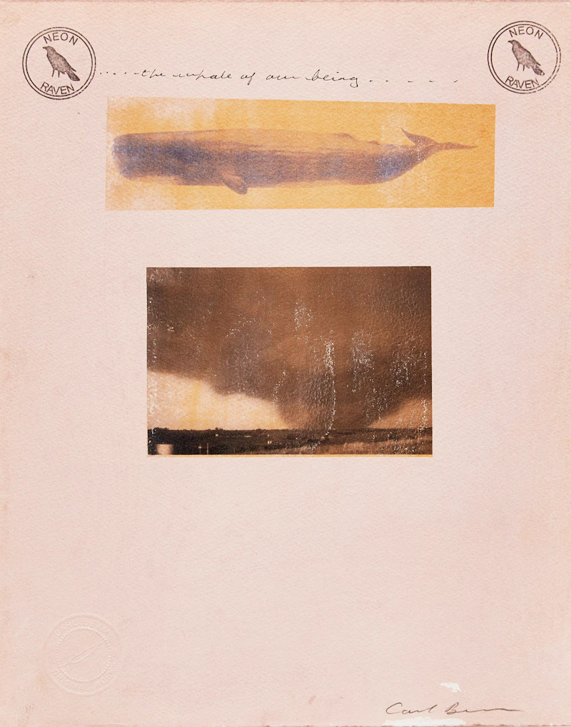 The Whale of Our Being by Carl Beam