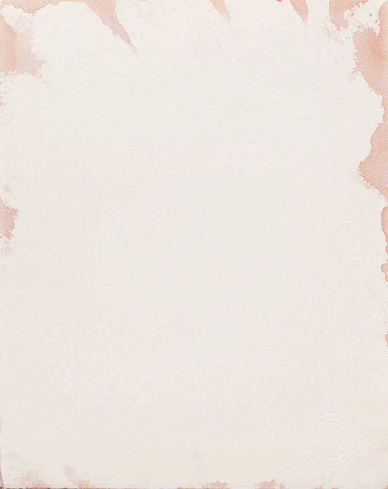 Carl Beam, The Whale of Our Being, mixed media on paper - view 2