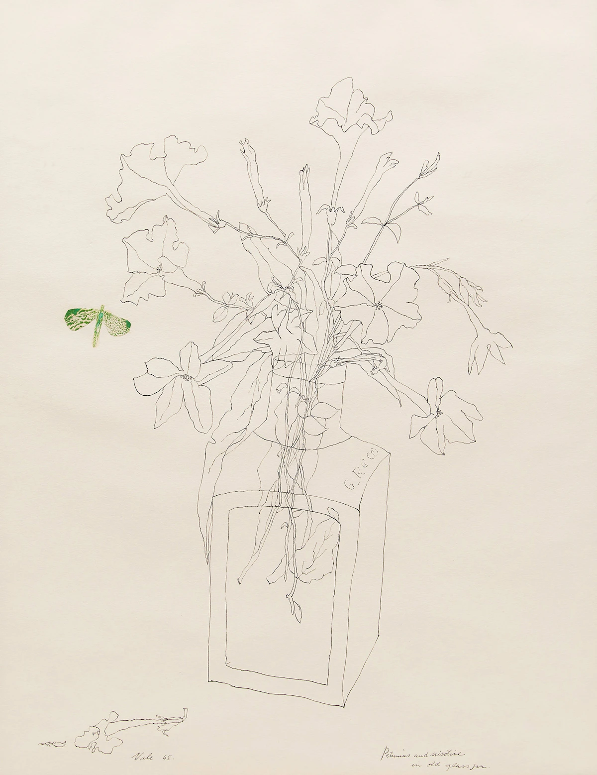 Florence Vale, Petunias and Nicotine in Old Glass Jar , pen and collage, 1965
